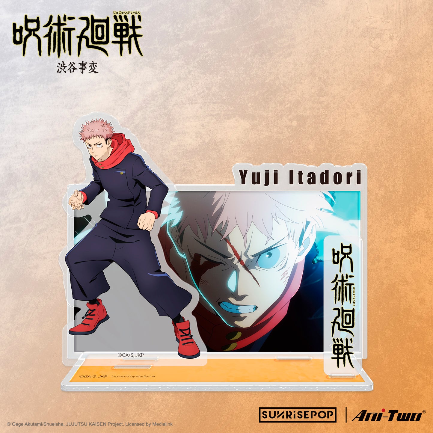 Jujutsu Kaisen Shibuya Incident Acrylic Standee