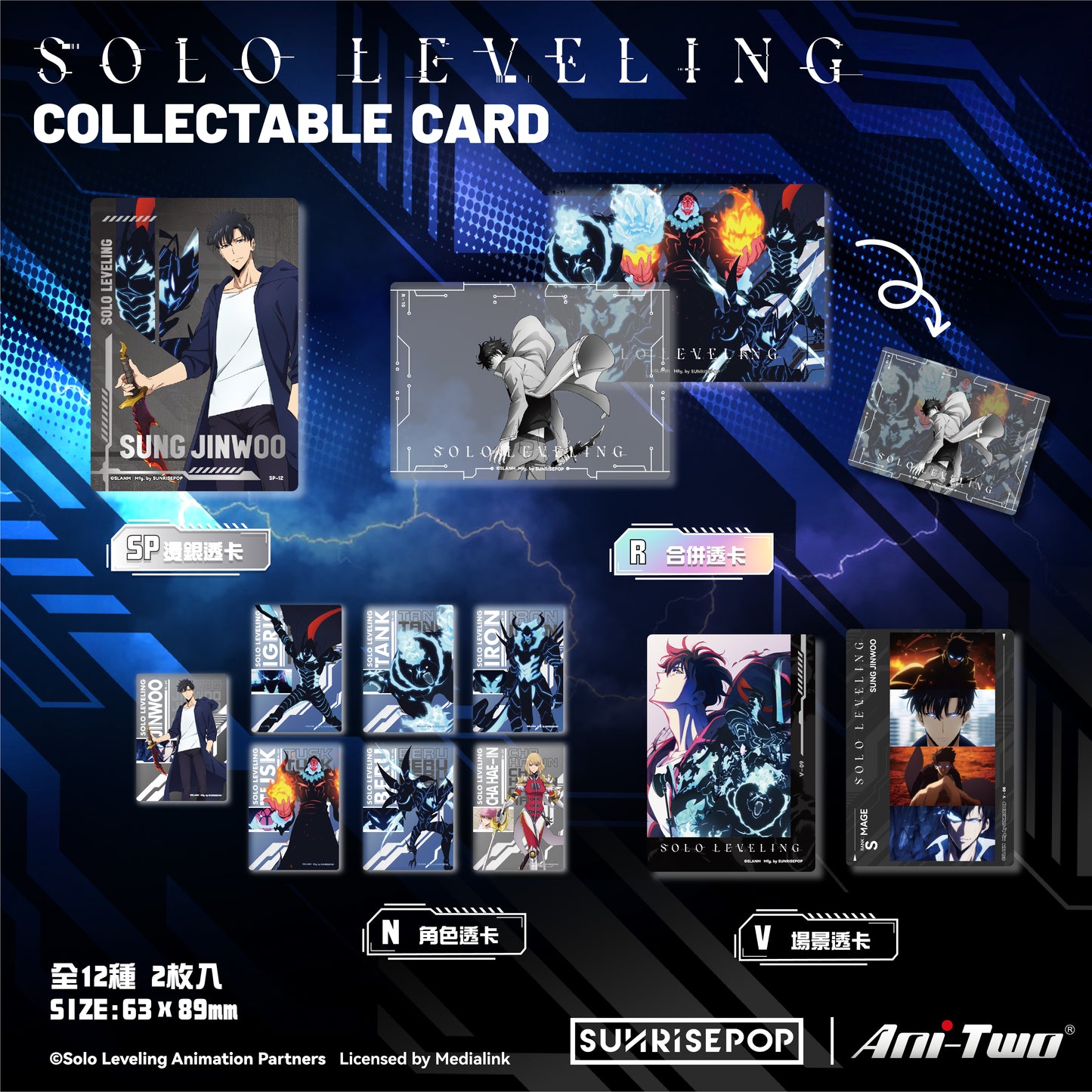 Solo Leveling - Collectible Card - 12 Styles (2 Styles/Pcs)《PRE-ORDER》