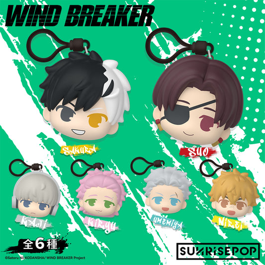 Wind Breaker - PU Ball - 6 Styles (1 Style/Pcs)